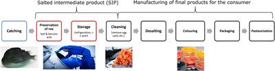 Microbial and chemical stability of lumpfish (Cyclopterus lumpus) roe during refrigerated storage in acid-salt brines with or without antioxidants